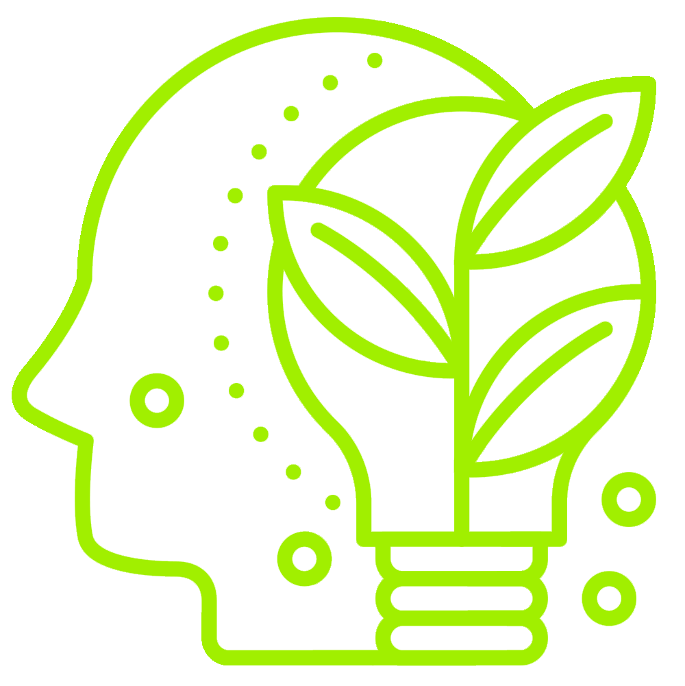 servicios estudio diseño publicidad